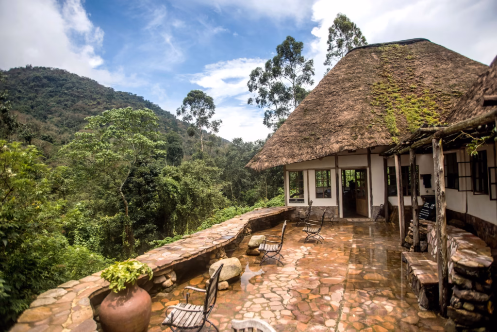 Bwindi Forest Lodge