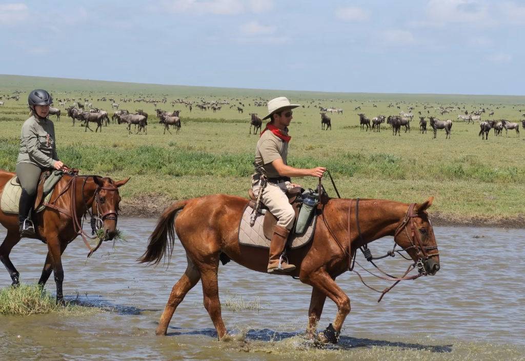 Riding Safari in Tanzania