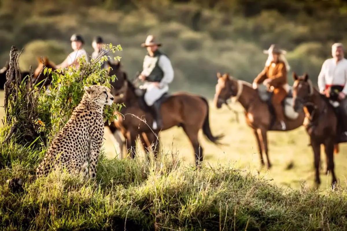 Horse riding safari Africa