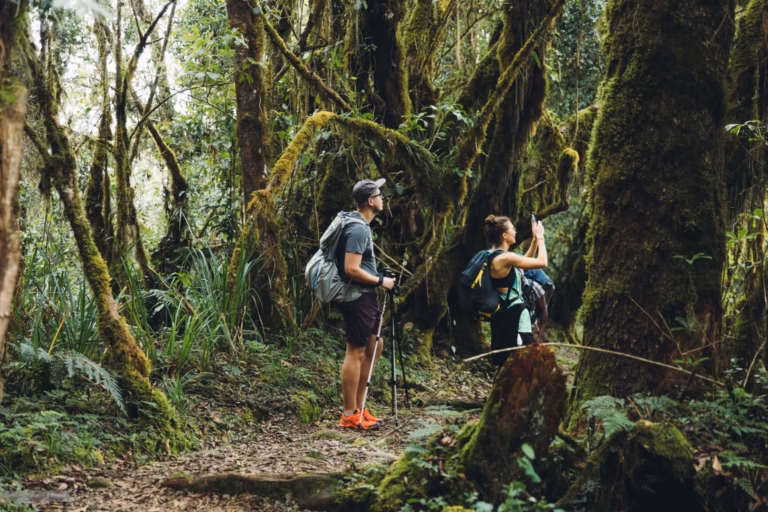 10 Best Things to Do in and Around Moshi, Tanzania