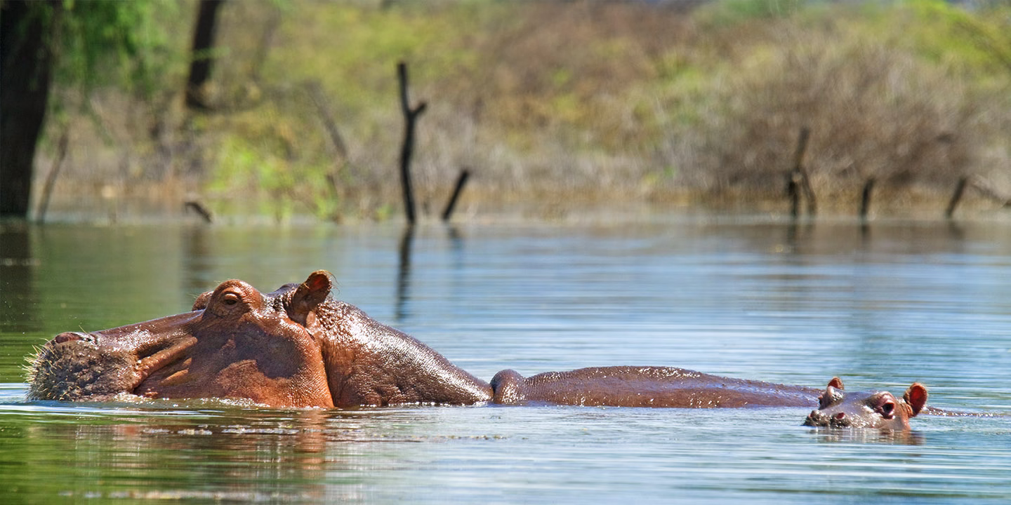Rift Valley Lakes in Kenya