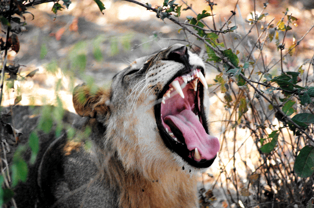 best time to visit East Africa