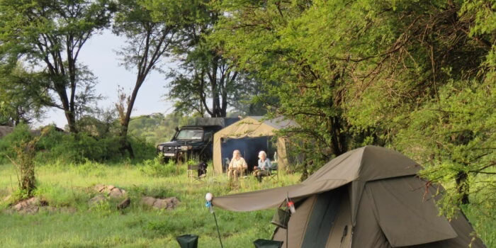 What Are Exclusive Camping Safaris?