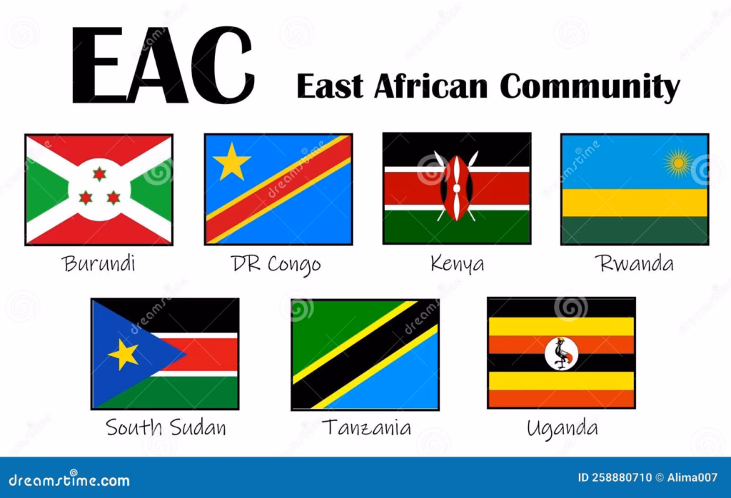 Which Countries Make Up the East African Community?