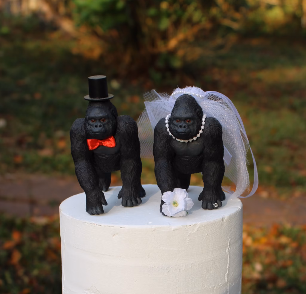 Celebrate Your Wedding Anniversary with Gorilla Trekking in Rwanda