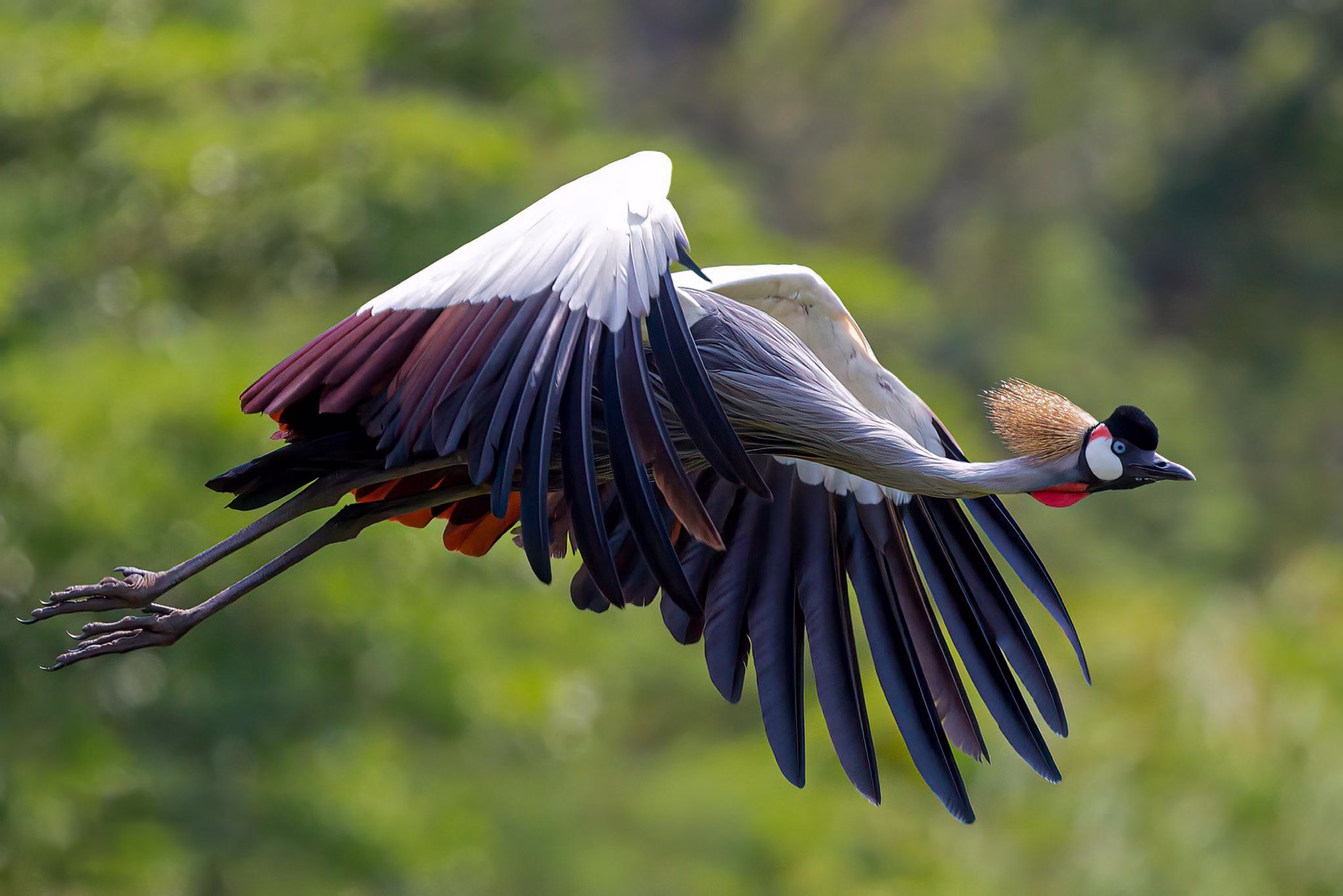 Umusambi Conservancy Village