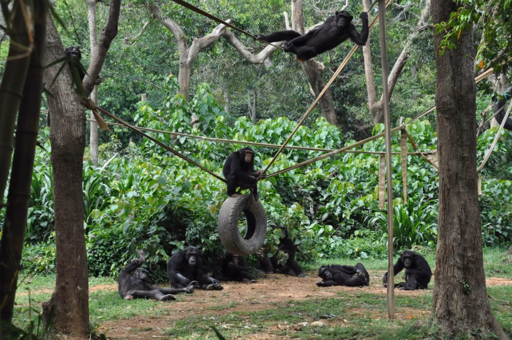 Entebbe Zoo