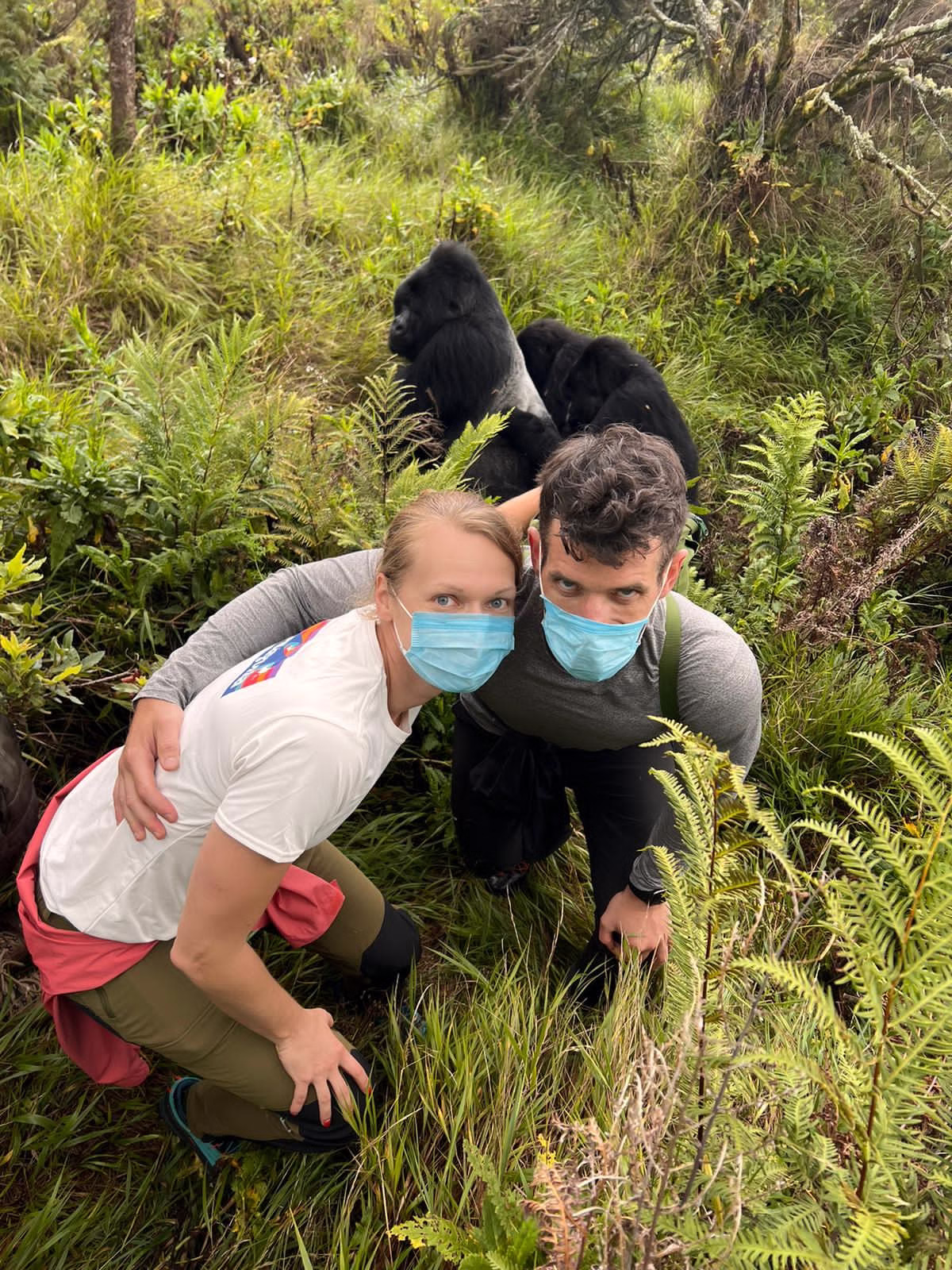 safari safety Africa