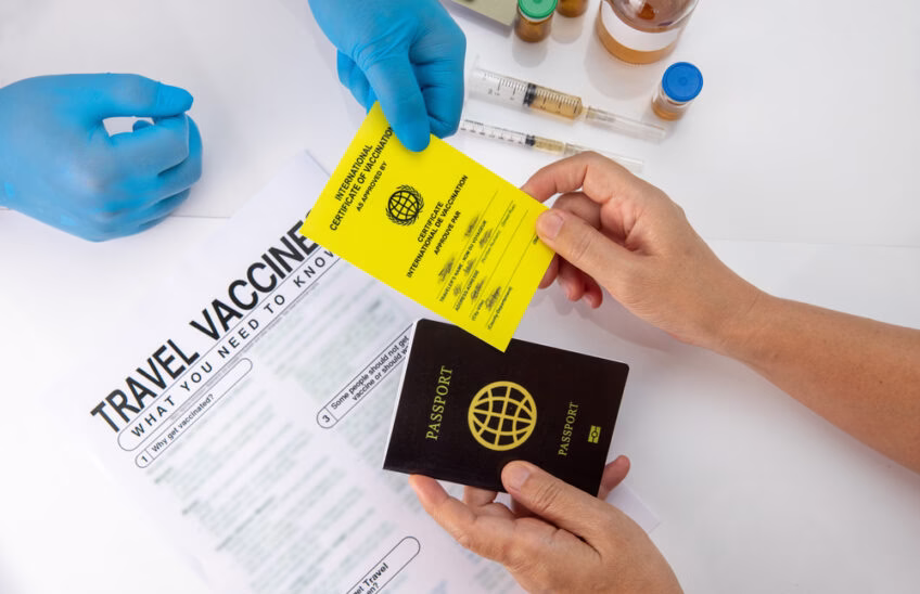 safari safety Africa