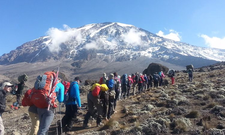 Hiking Mount Kilimanjaro