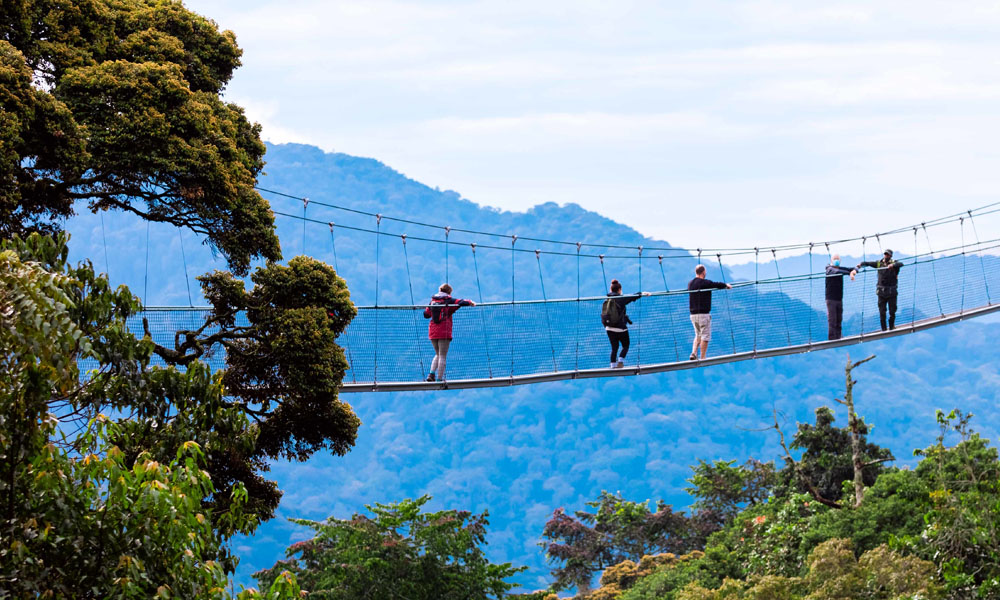 Walking the Nyungwe canopy walkway