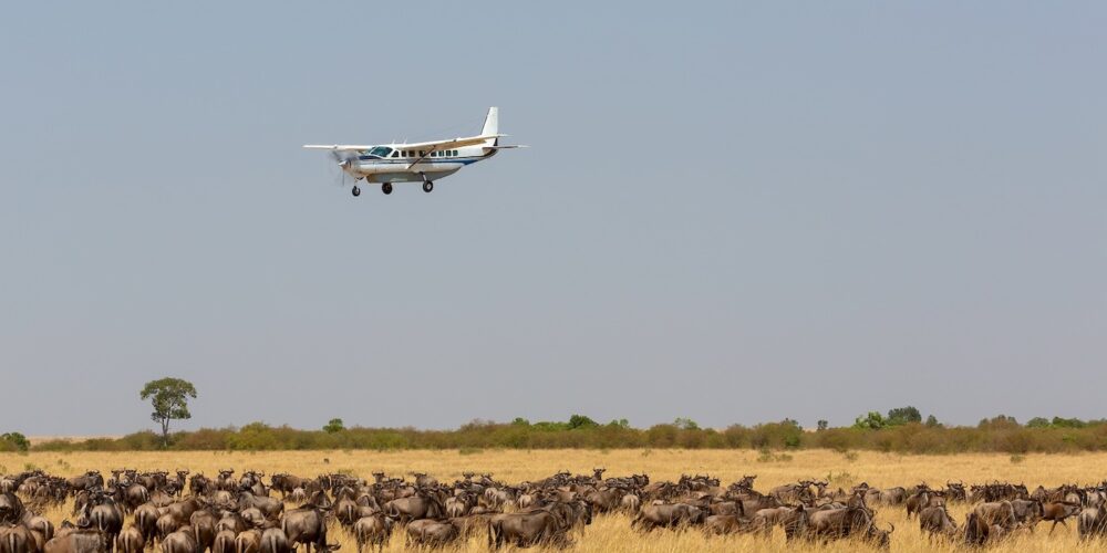 Fly-in Safari vs Road Safari Tanzania