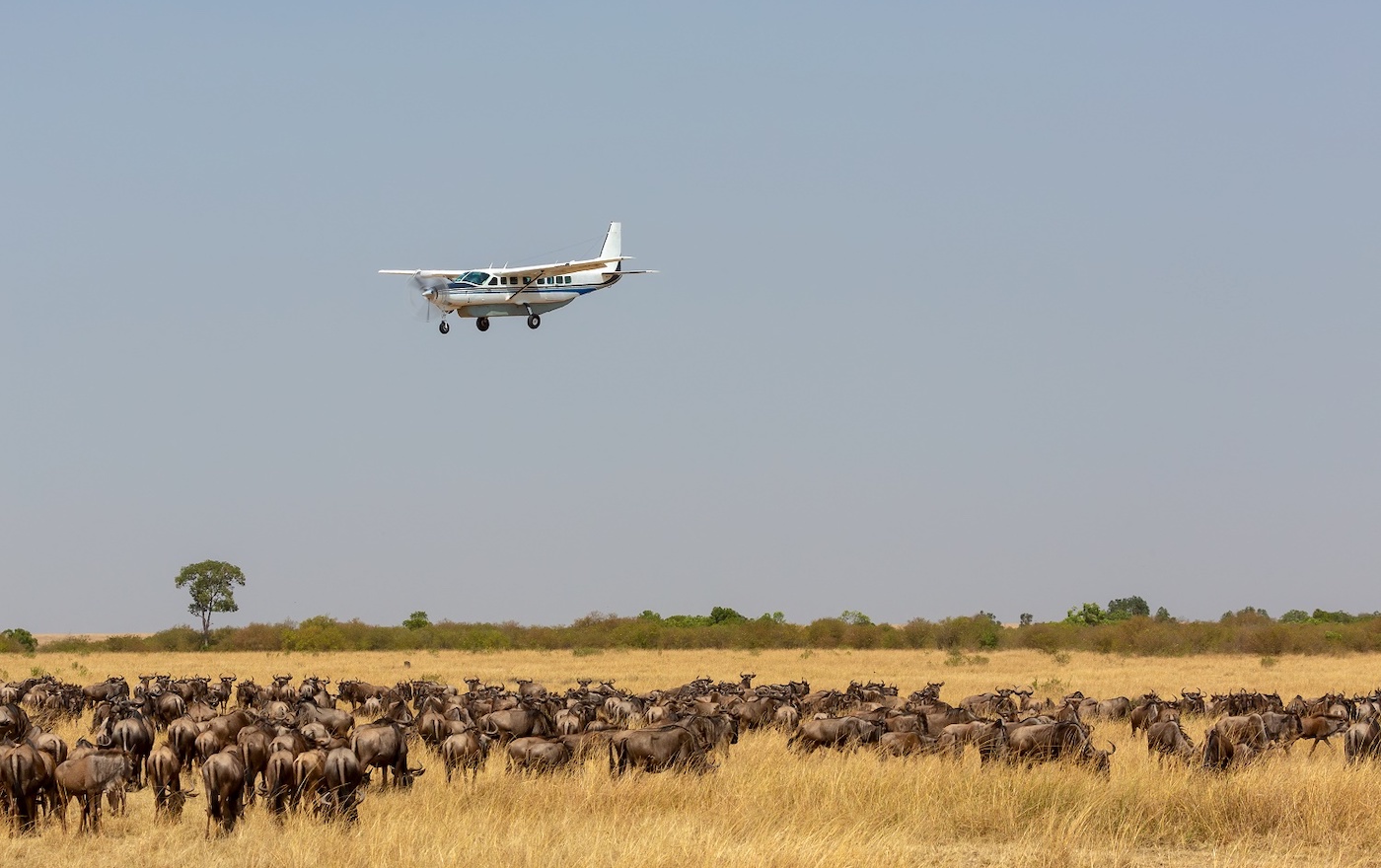 Fly-in Safari vs Road Safari Tanzania