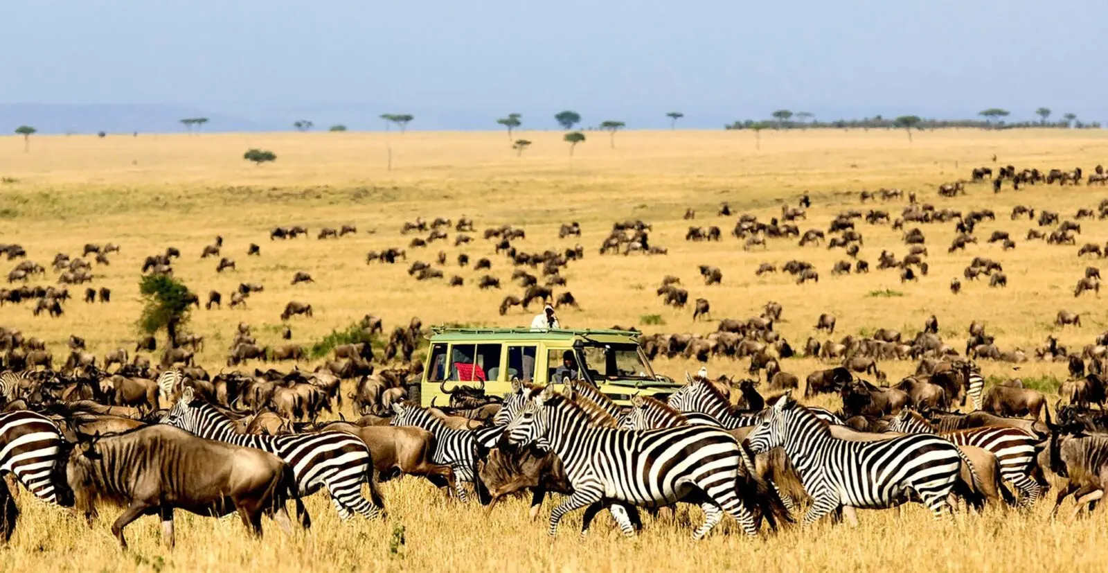 Rwanda Safari vs Kenya Safari