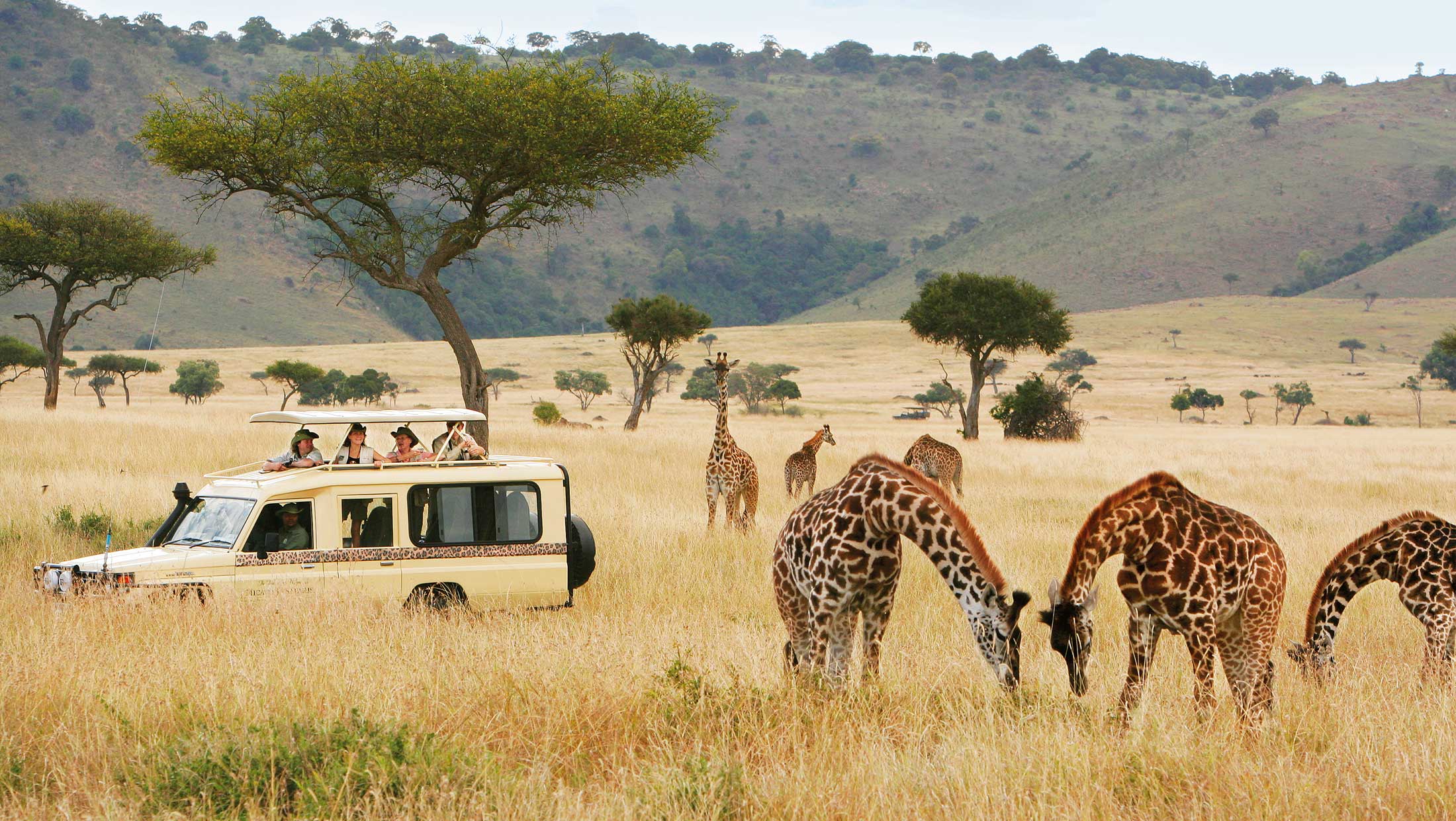 East African Safari vs Southern African Safari