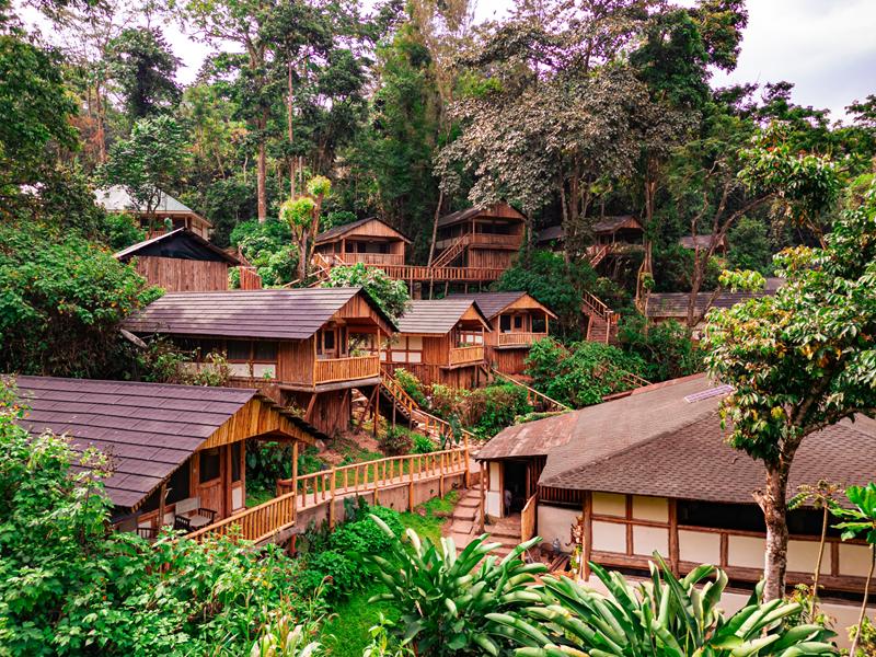 Best Value Lodges in the Buhoma Sector for Gorilla Trekking