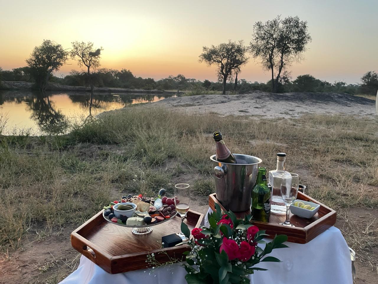 Proposal Safari Africa