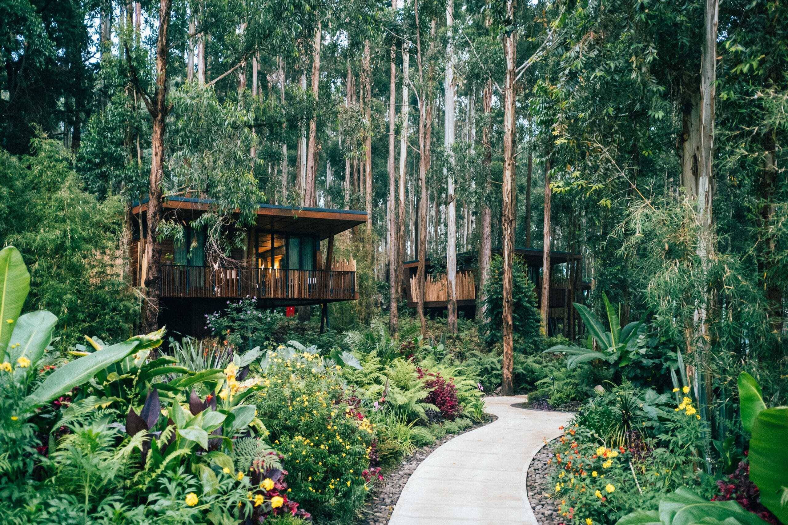 Lodges With Mountain Views Near Volcanoes National Park
